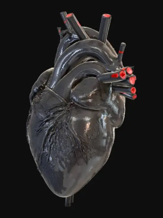 3D model for generate me a black realistic heart with electrick cables at the pump tubes of the heart