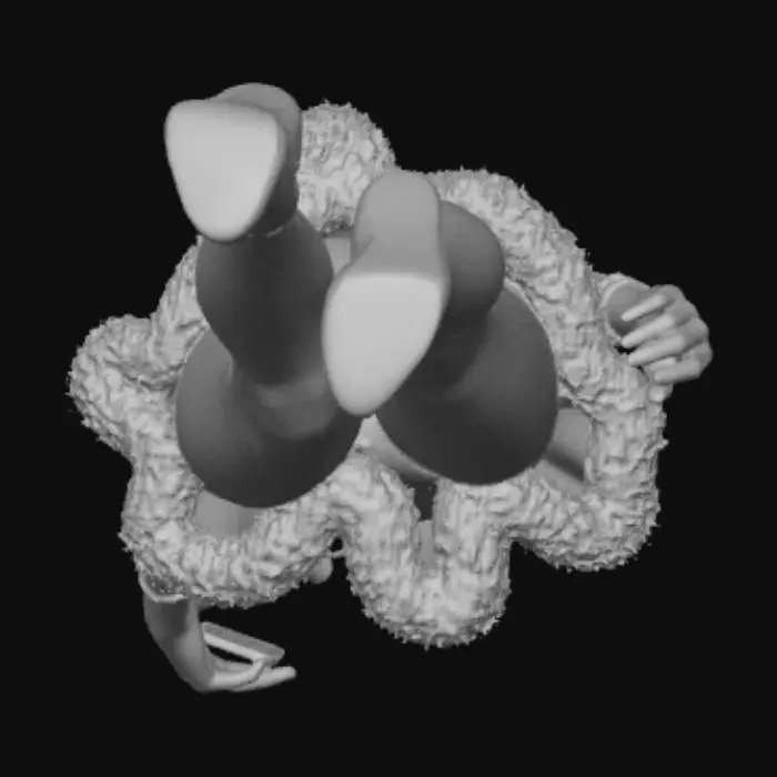 3D model for Mistletoe Moment