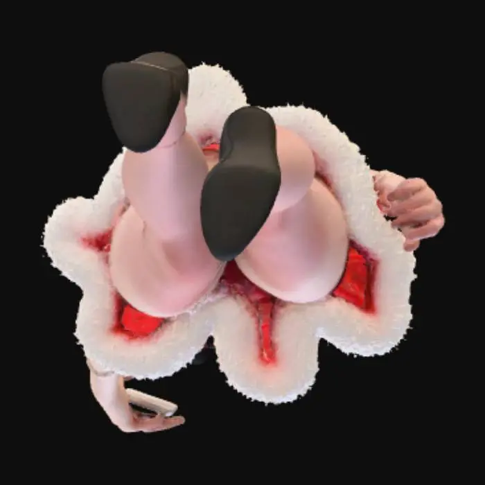 3D model for Mistletoe Moment