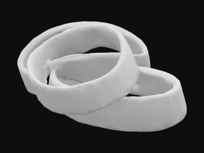 3D model for Onion Rings Illustration