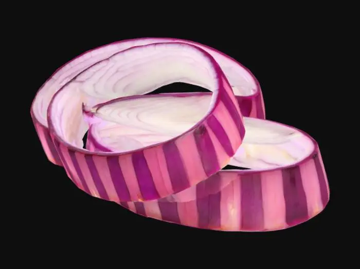 3D model for Onion Rings Illustration