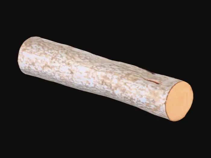 3D model for Long Log