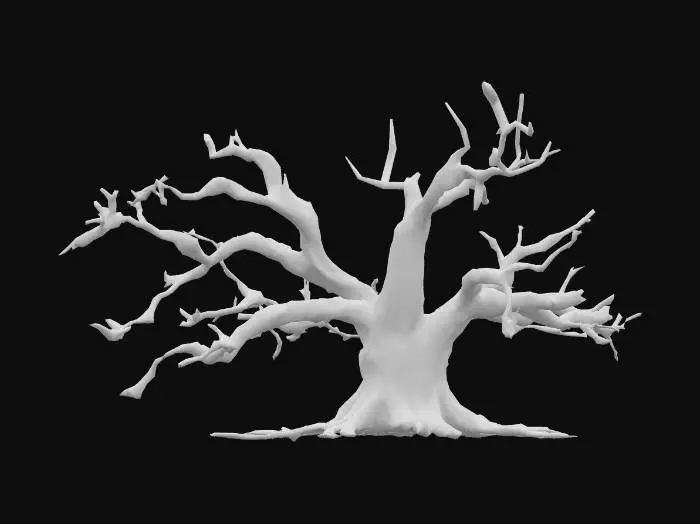 3D model for second oakl