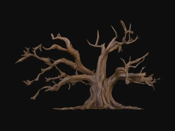 3D model for second oakl