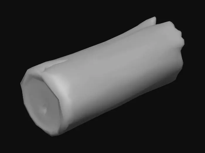3D model for small burnt log