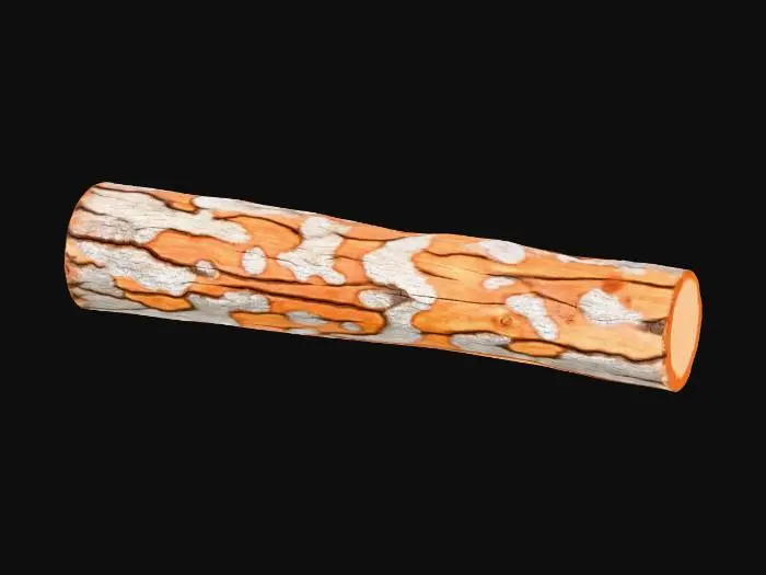 3D model for Long_log