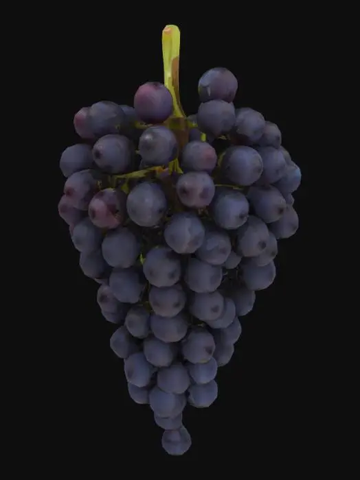 3D model for Bunch of grapes