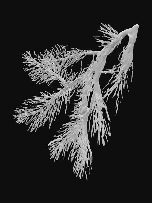 3D model for A flat, low-polygon pine branch, appearing as a two-dimensional plane meticulously textured to simulate depth. Its surface vividly displays the rugged, dark brown bark of a pine branch, from which numerous short, sharp, dark green pine needles extend outwards. The needles are densely packed and individually defined within the texture, with subtle painted highlights creating a realistic illusion of their cylindrical form and clusters, despite the underlying flat geometry. The entire piece captures the essence of a real branch and needles on a single plane.