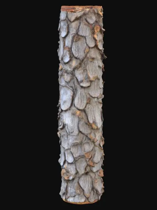 3D model for Textured Pine Bark, #PBR#