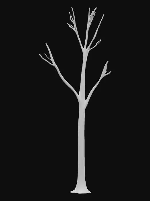 3D model for Birch 2 tree