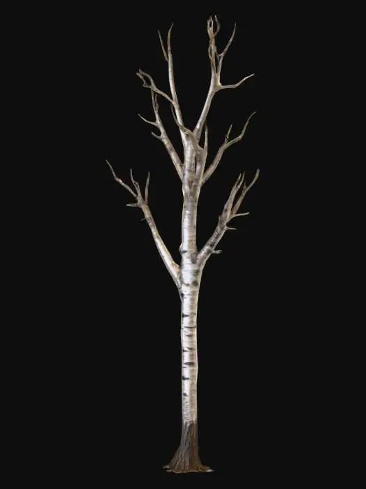 3D model for Bare_Birch_Tree_0908174611_generate