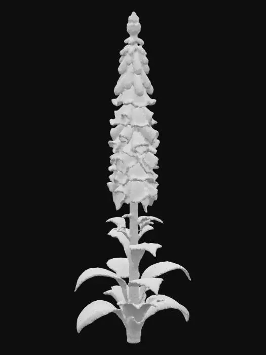 3D model for Foxglove Blossom