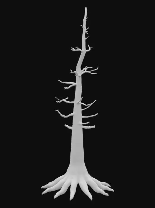 3D model for Pine tree