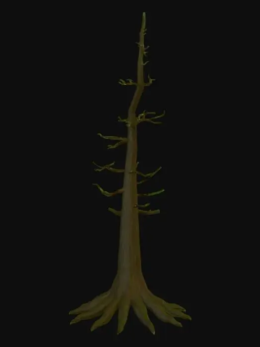 3D model for Pine tree