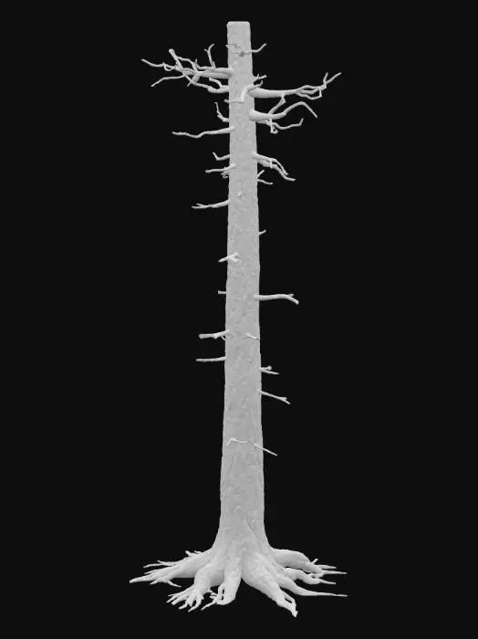 3D model for Barren_Tree_Structure
