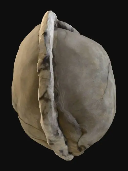 3D model for Cracked_Stone_1108210526_generate