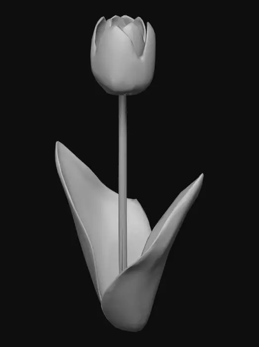 3D model for tulip