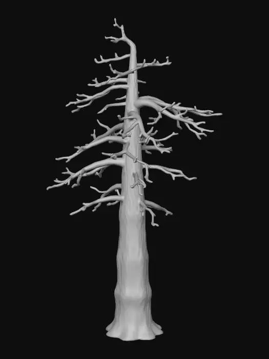 3D model for Pine done meshy