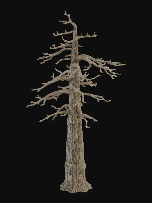 3D model for Pine done meshy