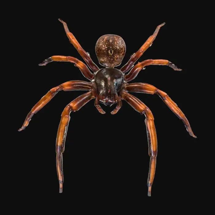 3D model for 13261024-903b-4e05-a8eb-ed4de8b20fa7