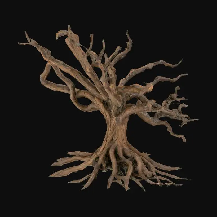 3D model for Majestic_Arbor_