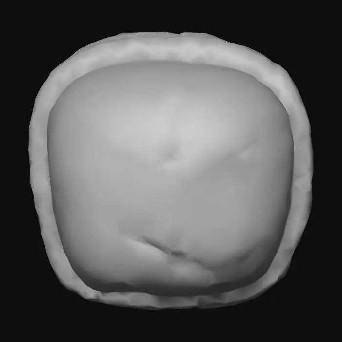 3D model for Cracked_Stone_1108214113_generate