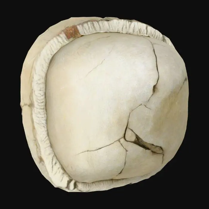 3D model for Cracked_Stone_1108214113_generate