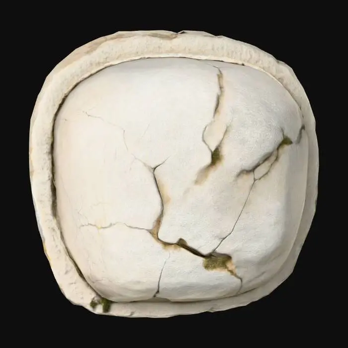 3D model for Cracked_Stone_1108214113_generate