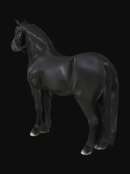3D model for Majestic Ebony
