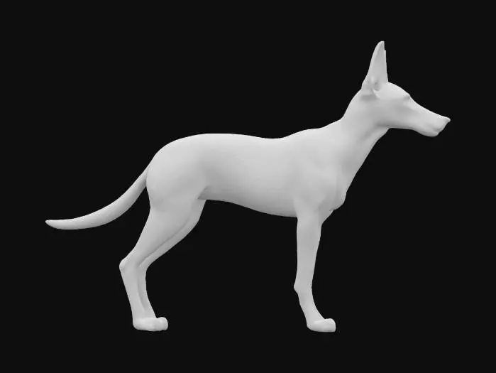 3D model for The object is a sleek, quadruped dog with a robust, symmetrical build and smooth, shiny black fur.