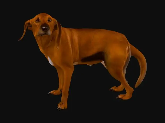 3D model for Curious Pup Indoors