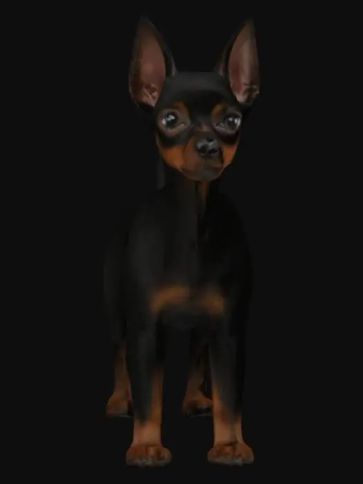 3D model for a small, smooth-coated black min-pin dog with a compact, angular body and pronounced facial expression, quadruped 