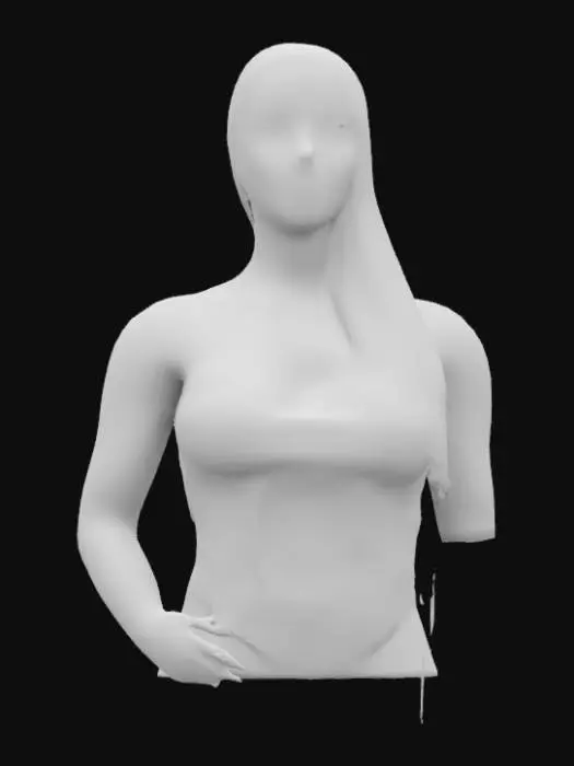 3D model for Elegant Confidence