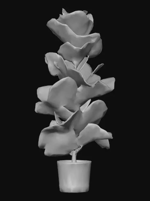 3D model for Fiddle Leaf Beauty