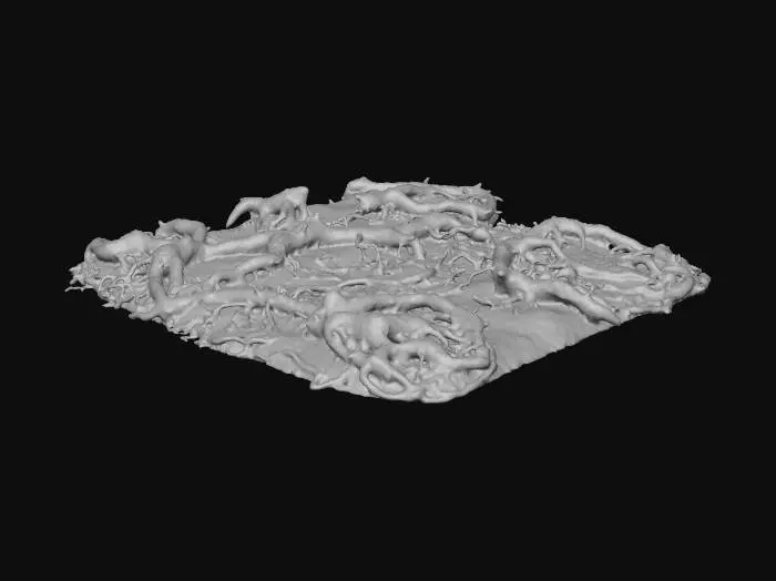 3D model for Entwined Roots