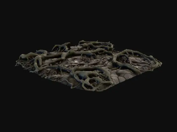 3D model for Entwined Roots