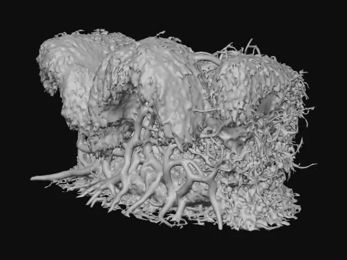 3D model for Tangled Canopy