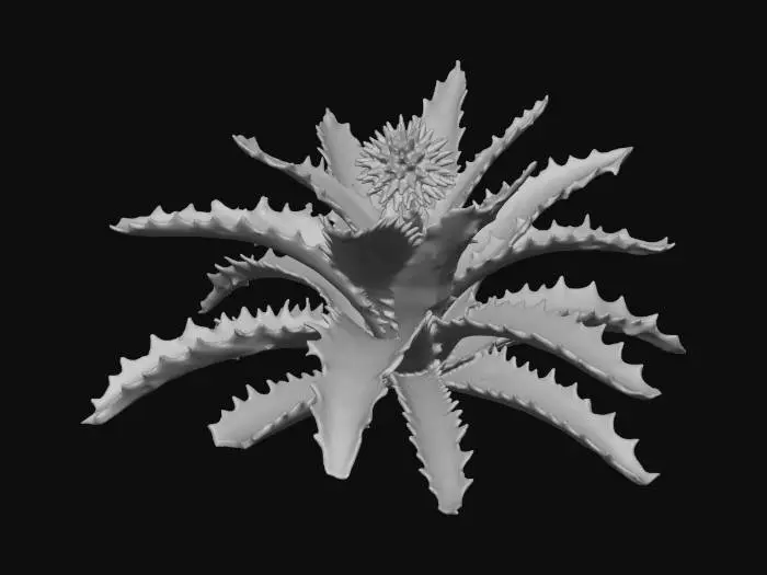 3D model for Desert Bloom