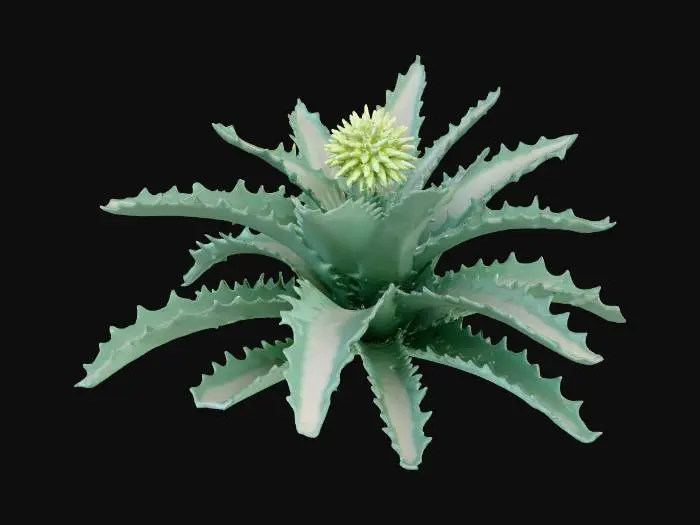 3D model for Desert Bloom