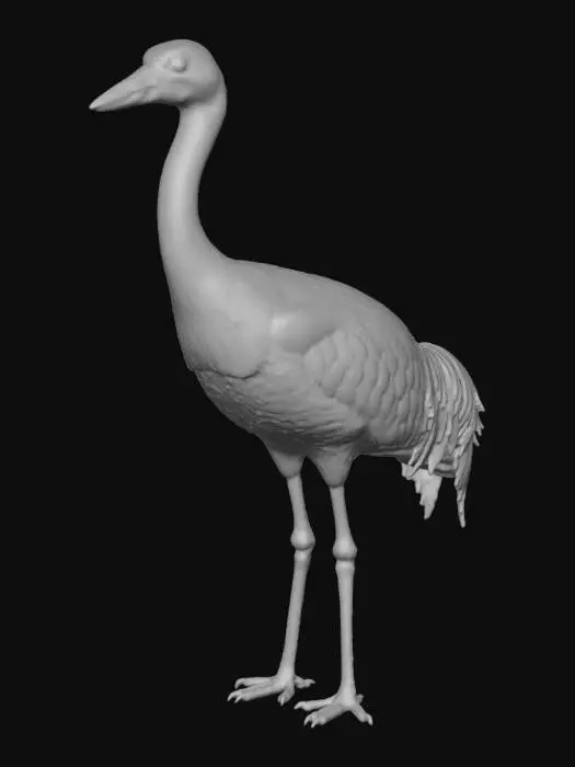 3D model for Serene Crane