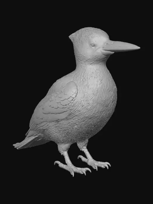 3D model for Kara ağaçkakan