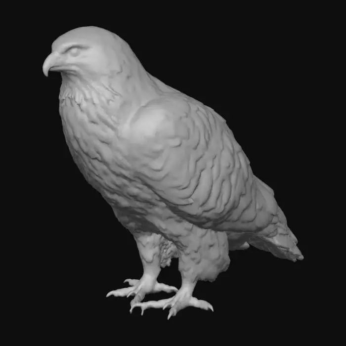 3D model for Regal Raptor