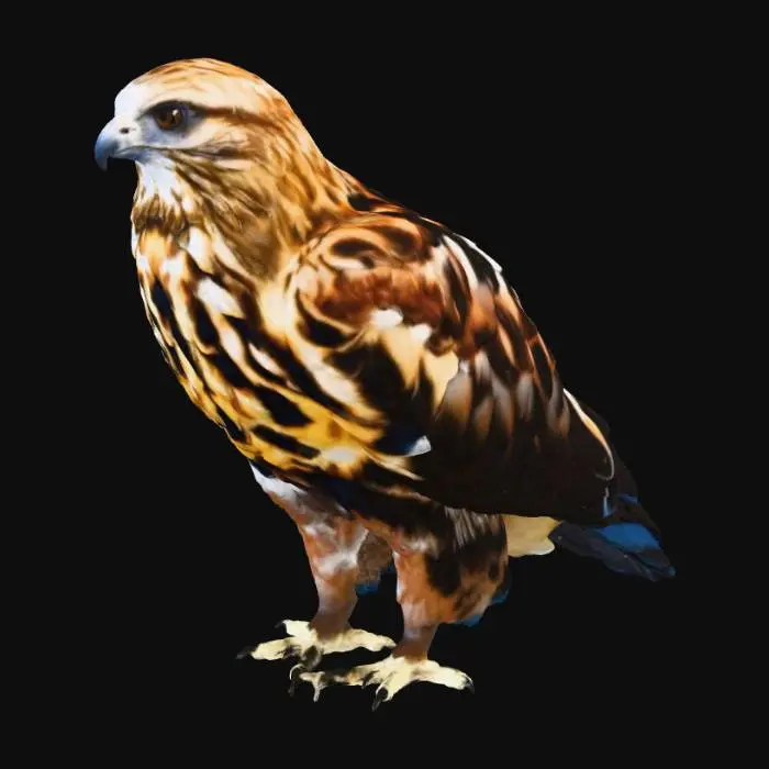 3D model for Regal Raptor