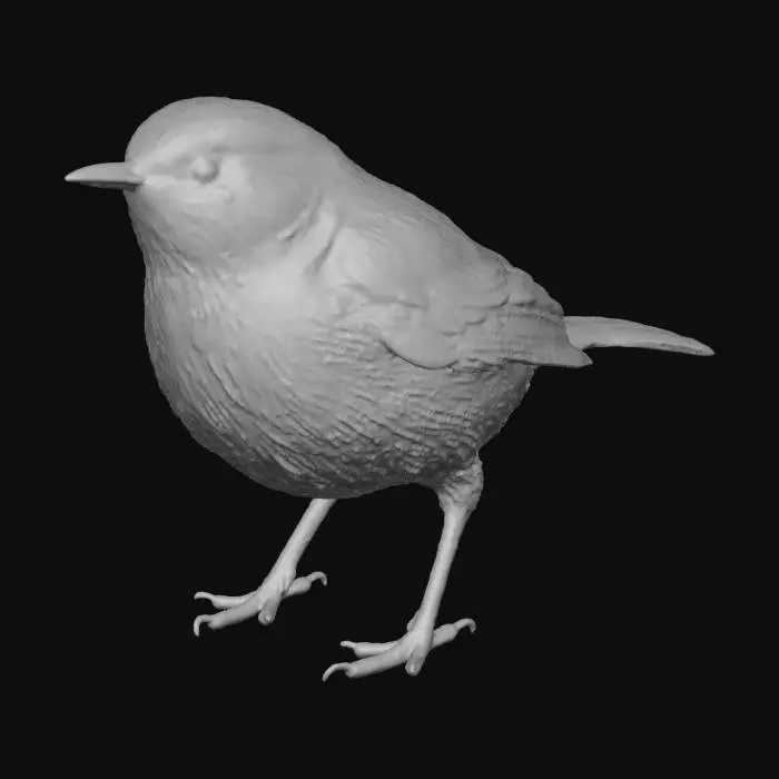 3D model for Yeşil çıvgın