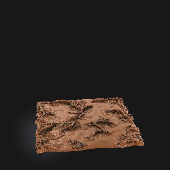 3D model for Roots Entwined