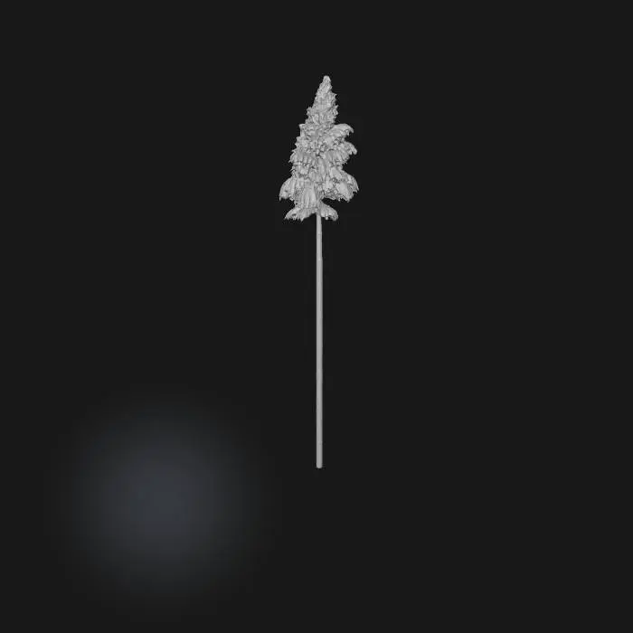 3D model for Pampas Elegance