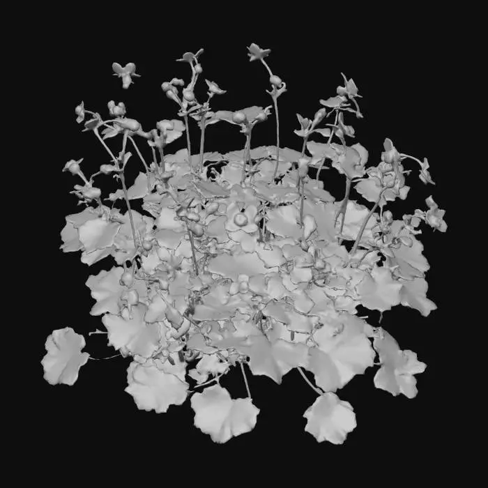 3D model for Golden Woodland Blossoms