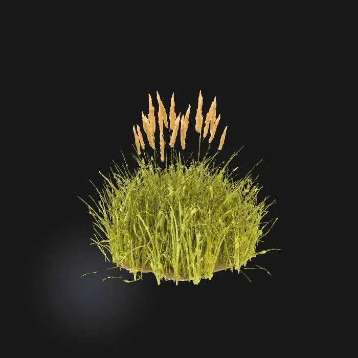 3D model for Resilient Oasis