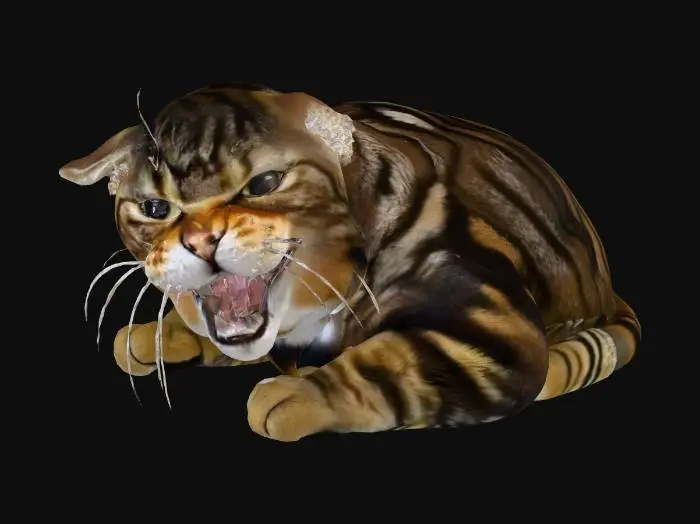 3D model for kakashka