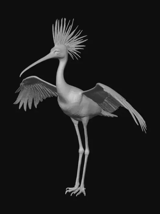 3D model for 3d rigged model of crested ibis bird with long tails and open wing posture
